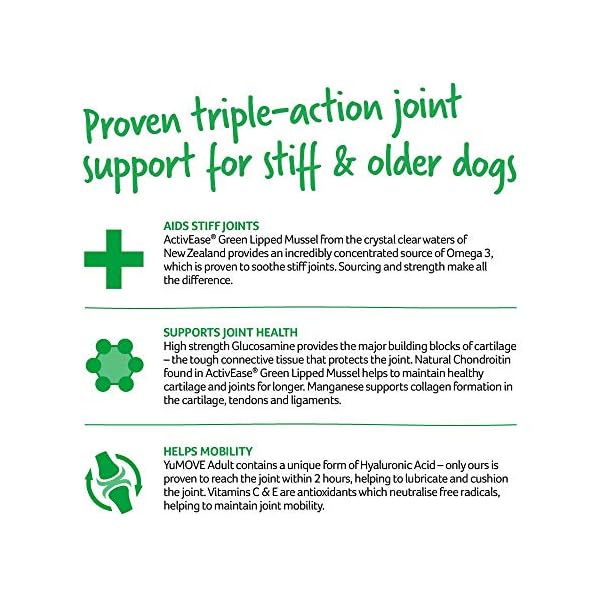 Lintbells-YuMOVE-Adult-Dog-Essential-Hip-and-Joint-Supplement-for-Stiff-Dogs-Aged-5-to-7-120-Tablets YuMOVE Adult Dog | Joint Supplement for Adult Dogs, with Glucosamine, Chondroitin, Green Lipped Mussel | Aged 6 to 8…