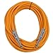 Seismic Audio - SASTSX-25 - 25 Foot TS 1/4