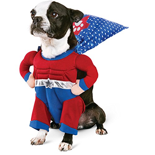 'Petco Halloween Superhero Boy Dog Costume, Large