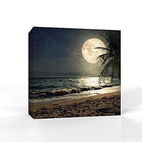 Moon Illuminating The Blue Ocean Home Artwork for...