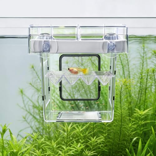 BaoZqua Aquarium Breeder Box