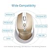 Wireless Mouse for Laptop Silent Cordless USB Mouse Wireless Optical Computer Mouse, 6 Buttons, AA Battery Used,1600DPI…