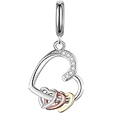 dazlily Love Heart to Heart Charm 925 Sterling Silver Charms fit for Bracelets Necklaces Jewelry
