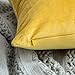 MIULEE Pack of 2 Velvet Soft Solid Decorative Square Throw Pillow Covers Set Cushion Case for Fall Sofa Bedroom 16x16 Inch 40x40 Cm Lemon Yellow