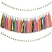 Baby Shower Wedding Party Decorations 42 pcs Gold Mint Green Pink Peach Cream Tissue Paper Pom Poms Flowers Tissue Tassel Garland Gold Glitter Five-Pointed Star Garland Kit
