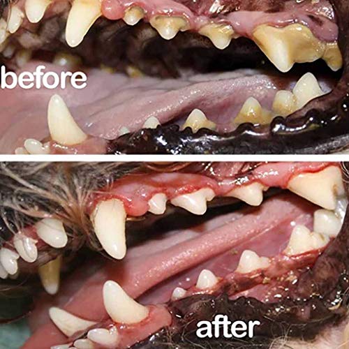 Pet Dental Spray,Pet breath freshener and Breath Drops,Eliminate Bad Dog Breath & Bad Cat Breath,Control Tartar and Keep Gums Healthy - Without Brushing,Natural Tooth Cleaning Treatment (2pcs)