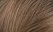 Naturtint 8N Wheat Germ Blonde Permanent Hair Color (Pack of 6), Ammonia Free, Vegan, Cruelty Free, up to 100% Gray Coverage, Long Lasting Results (Packaging may vary)