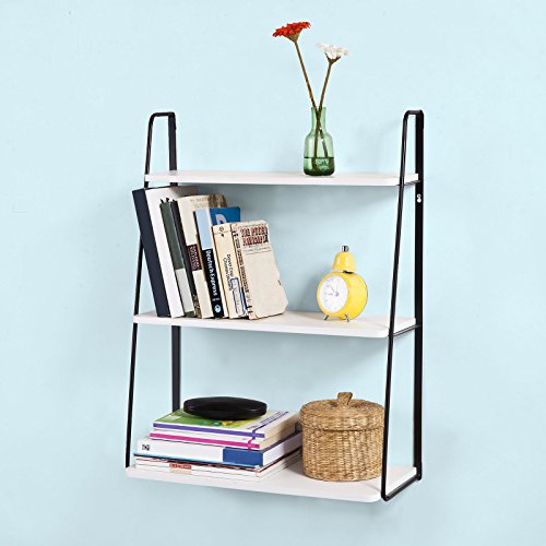 Haotian Wall Shelves,Wall rack,Wall Cabinets ,Wall-Mounted Cabinets ,Storage Racks, Hanging Entryway Shelf,Storage Shelf ,and Coat Rack Wall Shelf with Hooks (FRG176-W)