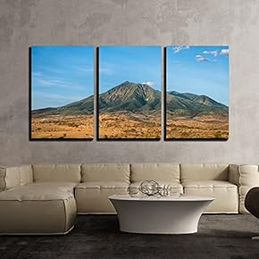 3 Piece Canvas Wall Art - Landscape with Mountain in African Savannah - Modern Home Art Stretched and Framed Ready to Hang - 16"x24"x3 Panels