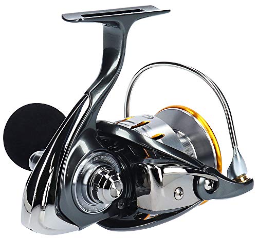 Daiwa 18 BLAST LT5000D-CXH Spinning Reel New in Box | eBay