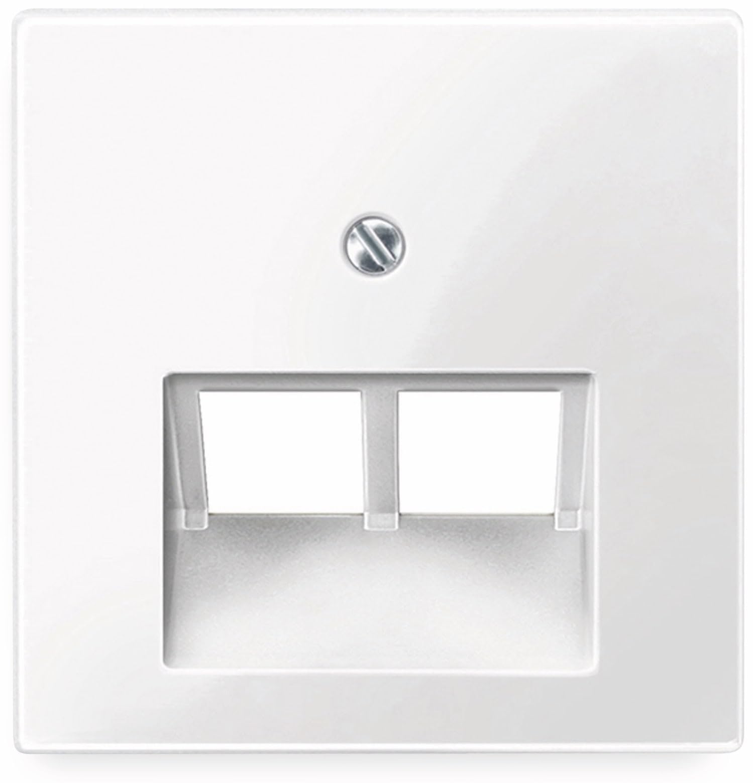 Merten 296119 Central plate for RJ45 insert, 2-gang, polar white glossy, System M
