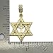 Mens 14k Gold Tone Star of David Cross Pendant 3mm 30