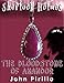 Sherlock Holmes The Bloodstone of Amandor