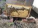 Acorn bee white plastic bee's wax coated deep foundation