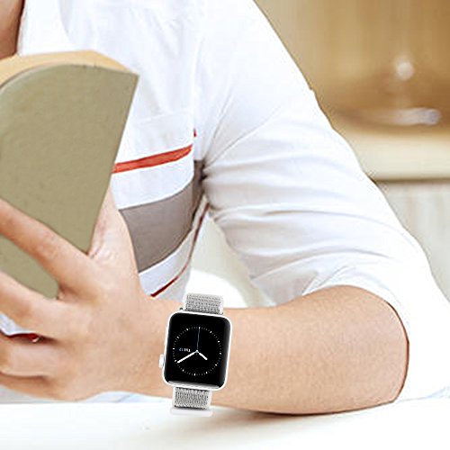 seashell sport loop review