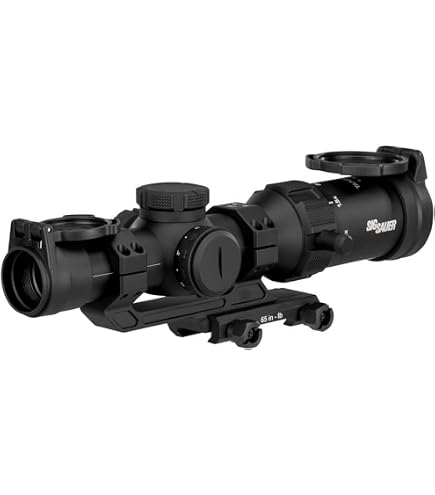 Amazon.com : Sig Sauer SOT41111 Tango4 Riflescope, 1-4X24mm, 30mm
