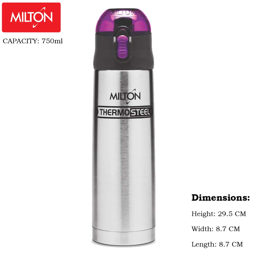 thermos stainless king 68