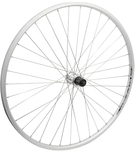 Amazon.com: Shimano Wheels WH-RS171 700C Wheel, 10/11-speed