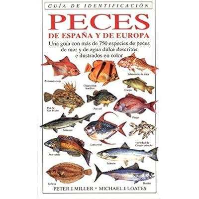 PECES DE ESPAÑA Y EUROPA.G.IDENTIFICACION (GUIAS DEL NATURALISTA-PECES-MOLUSCOS-BIOLOGIA MARINA) PECES DE ESPAÑA Y EUROPA.G.IDENTIFICACION (GUIAS DEL NATURALISTA-PECES-MOLUSCOS-BIOLOGIA MARINA)