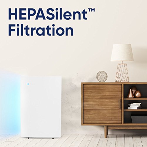 Blueair Pro L Air Purifier, Professional Allergy, Mold, Smoke and Dust Remover, High Performance for - //coolthings.us