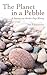 The Planet in a Pebble: A journey into Earth's deep history