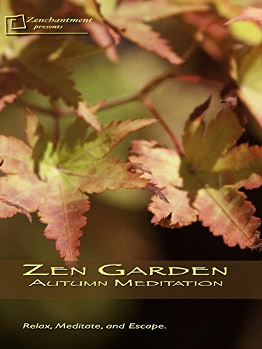 Zen Garden- Autumn Meditation