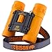 BeBison Binoculars for Kids - 8x21 High Resolution Real Optics - Compact Folding Shockproof Kids Binoculars for Bird Watching - Spy Games - Outdoor Play for Boys and Girl