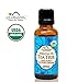 US Organic 100% Pure Tea Tree Essential Oil, Steam Distilled, USDA Certified Organic, for Hair, Skin, Scalp, Foot, Toenails, and More. Sourced from South Africa, Undiluted, Non-GMO (30 ml)