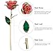 DEFAITH 24K Gold Dipped Real Rose Gifts, Best Wedding Anniversary Valentines Day Love Gift for Her Wife Girlfriend Spouse, Rainbow with Stand
