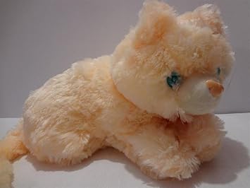 cat teddy bear gift