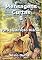 Livro Mensagens Curtas 8