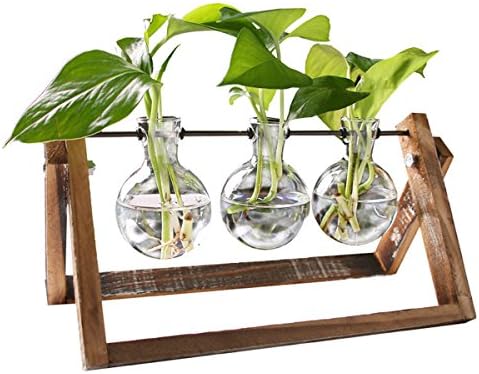 Retro Glass Terrarium Desktop Decor - Tchan Home Decor Water Plant Container Air Plant Pot Glass Planter with Adjustable Wood Holder (3 Bulds)