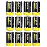 RayHom D Batteries Rechargeable 10,000mAh Ni-MH High Capacity Battery (12 Pack)