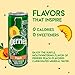 Perrier Peach Flavored Carbonated Mineral Water, 8.45 fl oz. Slim Cans (10 Count)