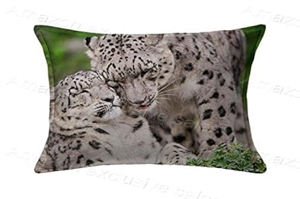 Amazon Com Populare Standard Pillow Cushion Covers Case Snow