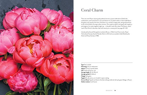 Peonies: Beautiful Varieties for Home & Garden (Flowers) - Thumbnail 4