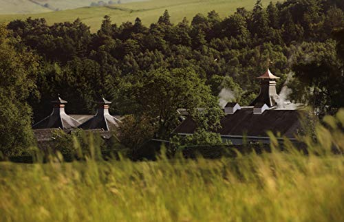 Glenfiddich 18 Jahre Single Malt Scotch Whisky mit Geschenkverpackung, 70cl - in Ex-Bourbon- & Oloroso Sherry-Fässern gereift für hochwertigen Genuss – Bild 5