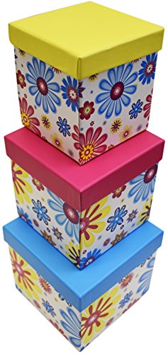 Alef Elegant Decorative Themed Nesting Gift Boxes -6 Boxes- Nesting Boxes Beautifully Themed and Decorated - Perfect for Gifts or Simple Decoration Around the House! (Floral Petals)