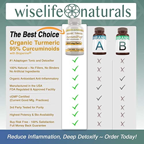 image for WiseLife Naturals CurcumiPlex 2 Pack Turmeric with Bioperine Best Supp