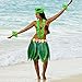 Hangnuo 5 PCS Hula Skirt Hawaiian Costume Set with Green Leaves Necklace Bracelets Headband, Luau Party Favors for Adults Women and Men