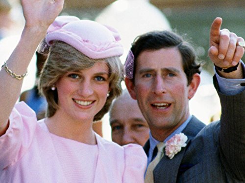 The Last 100 Days of Diana