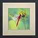 King Silk Art Handmade Embroidery Magenta Dragonfly 33019