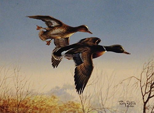 Terry Redlin Autumn Shoreline Duck Art Print