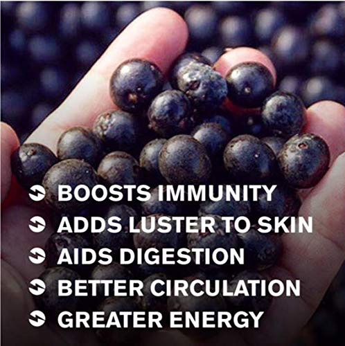 Acai To-Go Berry Puree Tubes by GlacierBox - Organic, Dairy Free Frozen Sorbet, 24 Count
