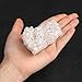 Jovivi Irregular Natural Titanium Coated Crystal Quartz Cluster Drusy Geode Specimen Home Decor- 0.26lb to 0.44lb - AB Color