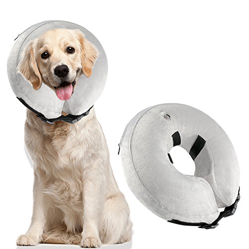 Best inflatable collar for dogs for 2018