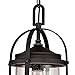 Westinghouse Lighting 6339400 Grandview One-Light Outdoor Pendant, Oil Rubbed Bronze Finish with Highlights and Clear Seeded Glass , Oil-rubbed Bronze