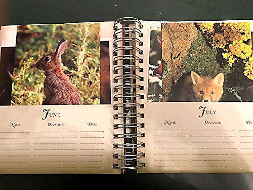 MOTHER'S DAY GIFT-Birthday book with greeting cards- organizer-all occasion cards-assortment for every occasion-cards for mom, kids, husband-loved by men and women,hallmark,American greetings - Thumbnail 2