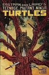 Teenage Mutant Ninja Turtles Vol.1 #42