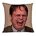 Merrycolor The Office Merch Throw Pillow Cover Magic Reversible Dwight Schrute Sequin Cushion Cover Decorative Pillowcase That Change Color (L The Office-Gold Sequins)